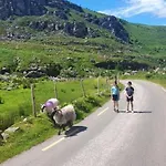 Stay-halfway Between And Tralee كيلارني