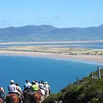 Casa de hóspedes Stay-halfway Between And Tralee Killarney