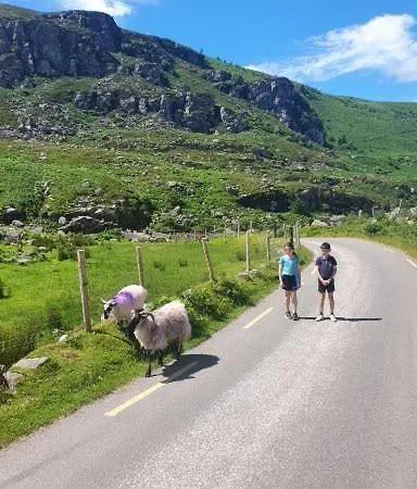 Stay-halfway Between And Tralee Cill Airne