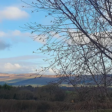 Stay-halfway Between And Tralee بيت ضيافة 3*