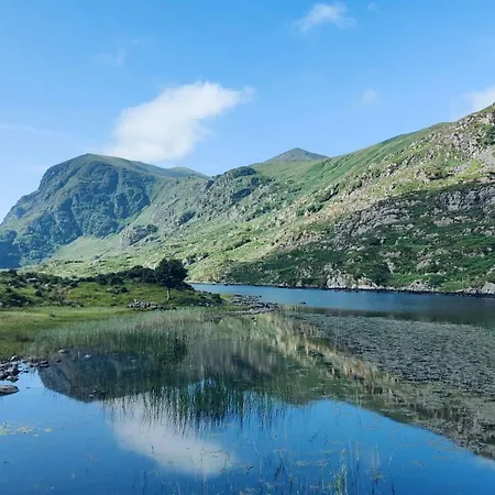 Stay-halfway Between And Tralee Pensión Killarney