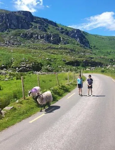 Stay-halfway Between And Tralee كيلارني