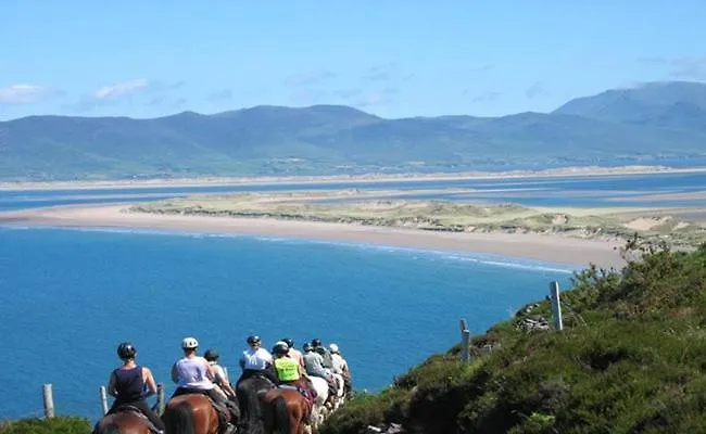 招待所 Stay-halfway Between And Tralee 基拉尼